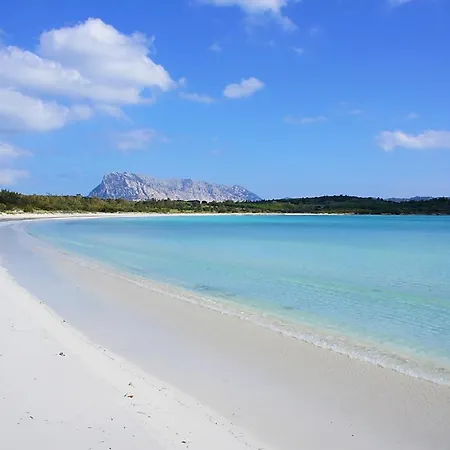 펜션 Cugnana Country Escape 올비아